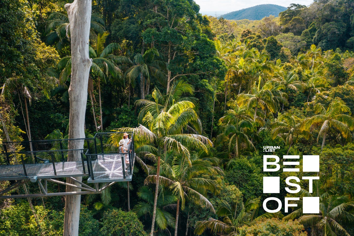 Hit The Road, Here Are The Best Things To Do In Tamborine Mountain